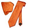 Vesuvio Napoli Burnt Orange PAISLEY NeckTie & Handkerchief Matching Neck Tie Set