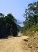 The Bloomfield Track, Cape Tribulation National Park, Queensland, Australia Art Photographic Poster Print by Fraser Hall, 12x16