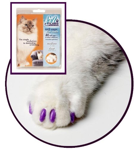 Feline Soft Claws Take Home Purple