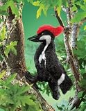 Plush Woodpecker Puppet