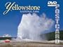 Yellowstone National Park DVD Postcard
