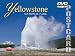Yellowstone National Park DVD Postcard
