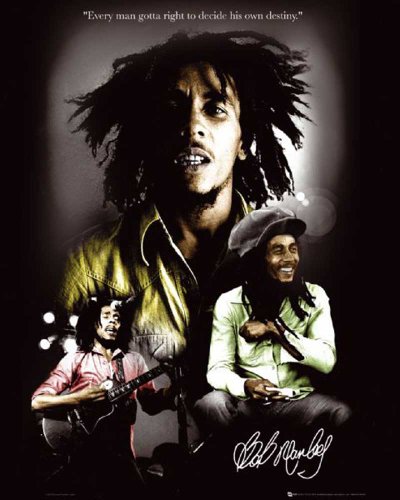Empire Merchandising 521903 Marley, Bob - Destiny - Musik Reggae Mini-Poster - Druck - Gr&ouml; Preisvergleich