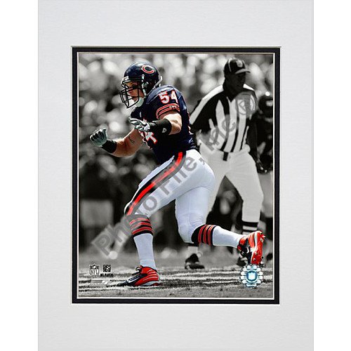 Photo File Chicago Bears Brian Urlacher Matted Photo