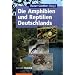 Naturf�hrer und Bestimmungsb�cher: Amphibien u. Reptilien