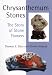 Chrysanthemum Stones: The Story of Stone Flowers