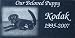 Pet Supplies : Premium Laser Engraved Pet Headstones