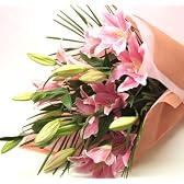 人気の百合花束シリーズ♪大輪系ピンク百合の花束 15リン以上 父の日花束３日以上余裕をもっての注文でお支払も完了していれば、希望日にもお届け可能です♪