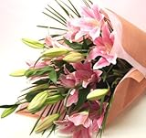 �l�C�̕S���ԑ��V���[�Y����֌n�s���N�S���̉ԑ� 15�����ȏ� ���̓��M�t�g�ԑ��R���ȏ�]�T�������Ă̒����ł��x�����������Ă���΁A��]���ɂ����͂��\�ł���