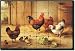Chickens in a Barnyard by Edgar Hunt - Artwork On Tile Tumbled Marble Mural 16 x 24 Kitchen Backsplash