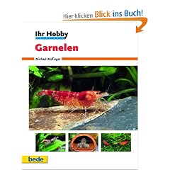 Garnelen, Ihr Hobby