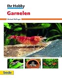 Garnelen, Ihr Hobby