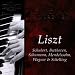 Grand Piano: Ignaz Jan Paderewski