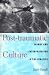 Image of Post-traumatic Culture: Injury and Interpretation in the Nineties