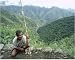10x8 Photograph (25x20cm) Ifagao Indian rice paddy worker by Robert Harding