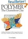 Polymer: The Chameleon Clay