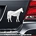 Horse Car Magnet