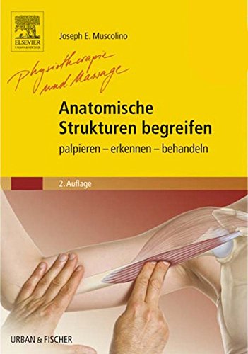 Anatomische Strukturen begreifen: palpieren - erkennen - behandeln (German Edition)
