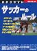 わかりやすいサッカーのルール (スポーツシリーズ)