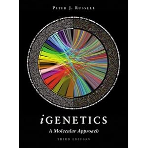 A Molecular Approach - Peter J. Russell