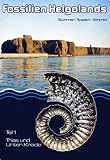 Produkt-Bild: Fossilien Helgolands Teil 1. Trias und Unter-Kreide.