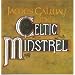 The Celtic Connection