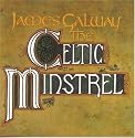 Celtic Minstrel