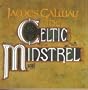 Celtic Minstrel