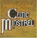 Celtic Minstrel