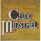 Celtic Minstrel