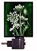 Floral Night Light - Queen Anne's Lace - Flower - LED NIGHT LIGHT
