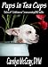 Pups in Tea Cups: Tales of 