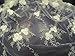 Corsage Lace Embroidered Roses on Mesh Champagne 56 Inch Wide Fabric By the Yard (F.E.