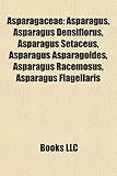 Asparagaceae: Asparagus, Asparagus Densiflorus, Asparagus Setaceus, Asparagus Asparagoides, Asparagus Racemosus, Asparagus Flagellar-