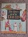 The story of David (A Rand McNally giant book)