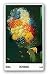 Fiori by Fernando Botero 33.5"x21.5" Art Print Poster