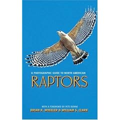 A Photographic Guide to North American Raptors