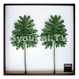 F-style リーフパネル・625x625x30mm Philodendron bipinnatifidum