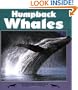 Humpback Whales (Nature Watch (Lerner))