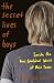 Secret Lives of Boys (Hardcover) by Malina Saval