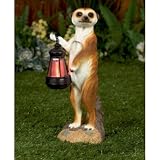 from Premier Meerkat with Colour Changing Solar Lantern