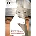 Young Adult Spanish Books Grandes Lectores