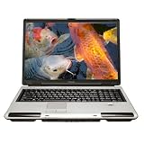 Product details for Toshiba Satellite P105-S6157 17