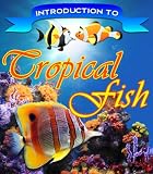 51LYbm92TrL. SL160  Introduction To Tropical Fish   Want To Have A Beautiful Tropical Fish Aquarium In Your Living Room Faster Than You Ever Thought Possible?