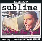 Sublime - Robbin' the Hood mp3 download