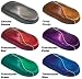 Eastwood HotCoat Powder Coat Coating Specialty Color Sample Kit