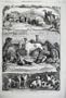 1861 Sporting Dogs Horse Repository Holborn Prize