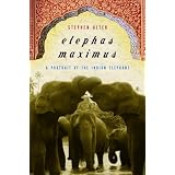 Elephas Maximus: A Portrait of the Indian Elephant