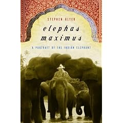Elephas Maximus: A Portrait of the Indian Elephant