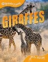 Animal Lives: Giraffes (QED Animal Lives)